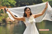 Indian Actress Sanam Recent Galleries 6397