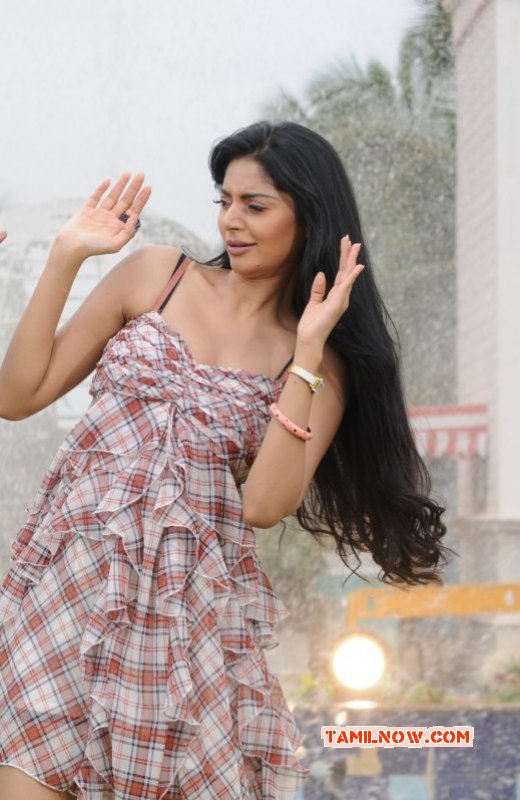 Pictures Tamil Movie Actress Sanam 2077