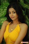 Tamil Actress Sanam 5334
