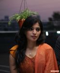 Sanchita Shetty 2595