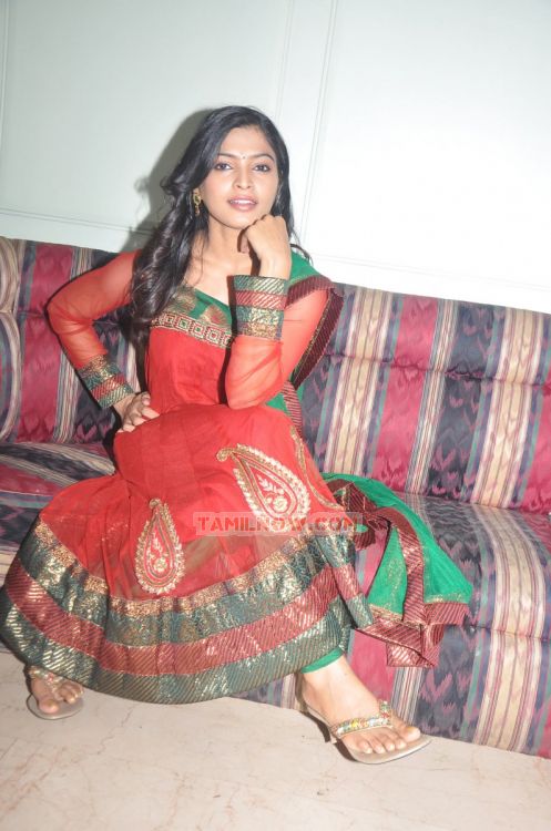 Sanchita Shetty 8573