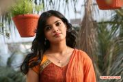 Tamil Actress Sanchita Shetty 2509