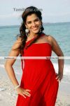 Tamil Actress Sandhya Photo11