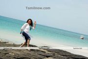 Tamil Actress Sandhya Photo13