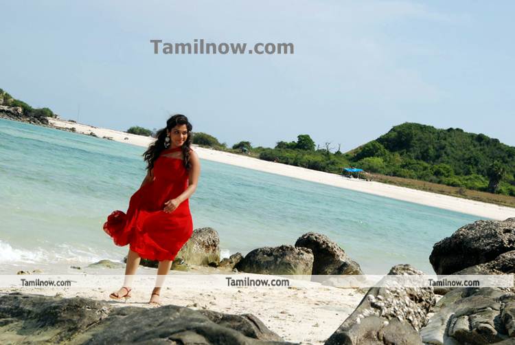 Tamil Actress Sandhya Photo9