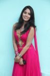 Tamil Actress Sania 819