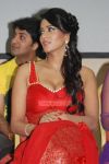 Sanjana Singh Photos 4706