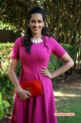 Sanjana Singh South Actress Albums 4292