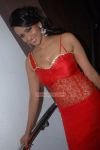 Tamil Actress Sanjana Singh 6138