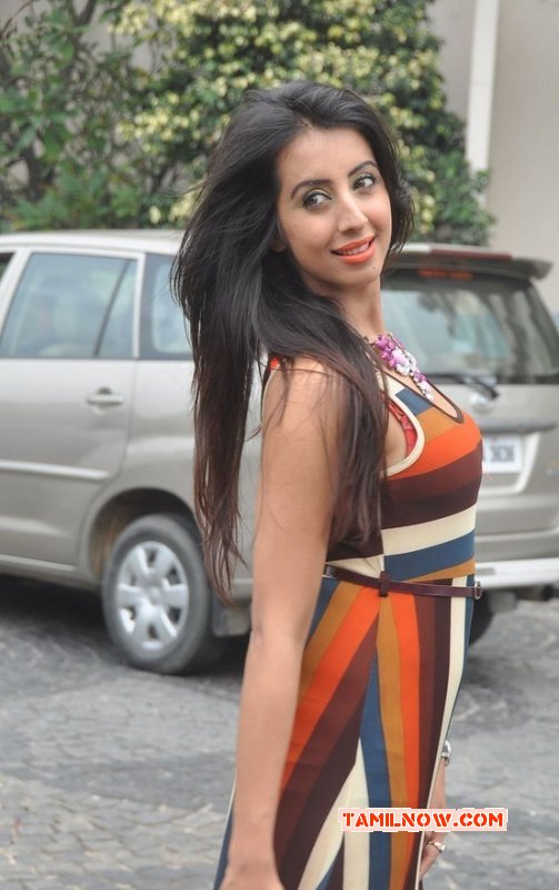 Indian Actress Sanjana Latest Photos 2770