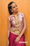 Latest Gallery Sanjana 5569