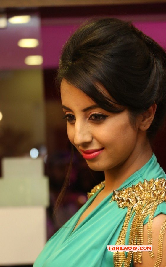 Sanjana Tamil Movie Actress 2014 Gallery 6578
