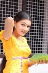 Saranya Mohan Stills 967