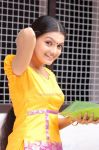 Tamil Actress Saranya Mohan 2576