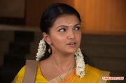 Tamil Actress Saranya Mohan Photos 7414