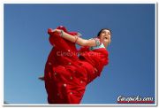 Tamil Actress Saranya Mohan Still 4