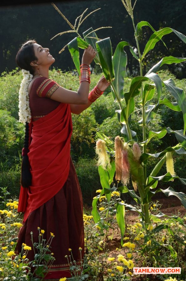 Tamil Actress Saranya 5964