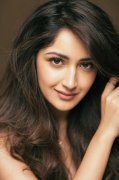 2019 Album Sayyeshaa Indian Actress 8106