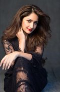 South Actress Sayyeshaa New Wallpaper 4779