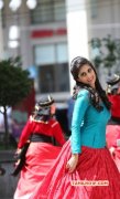 2016 Pic Shamili 3877