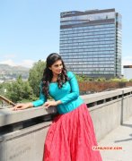 Recent Wallpaper Shamili Film Actress 6569