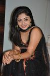 Actress Shikha Picture 746