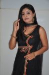 Shikha Photo 405