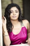 Tamil Actress Shikha 8016