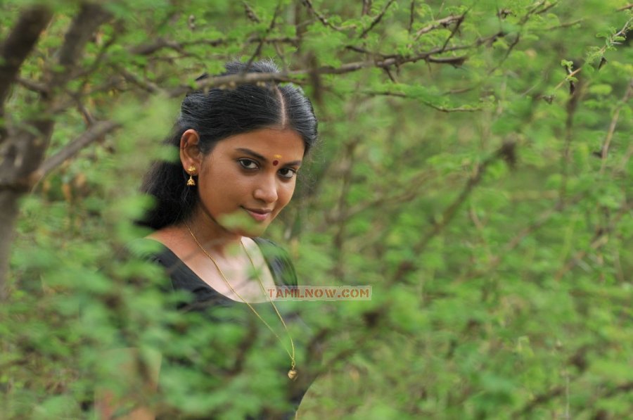 Shivada Nair 7927