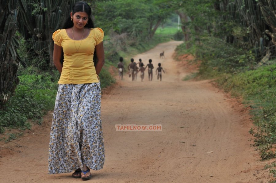 Tamil Actress Shivada Nair Photos 2287