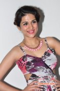 Mar 2016 Gallery Shraddha Das Film Actress 1081