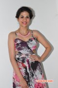 Shraddha Das Tamil Actress 2016 Images 5480