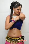 Recent Pictures Shreya Vyas Tamil Heroine 9622