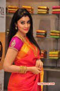 2015 Image Shriya Saran Film Actress 2025