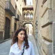 2020 Wallpaper Shriya Saran Heroine 8082