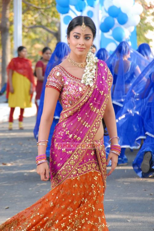 Actress Shriya Saran 1502