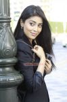 Actress Shriya Saran 2088