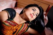 Actress Shriya Saran 4091
