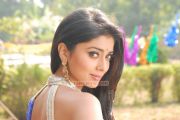 Actress Shriya Saran 5404