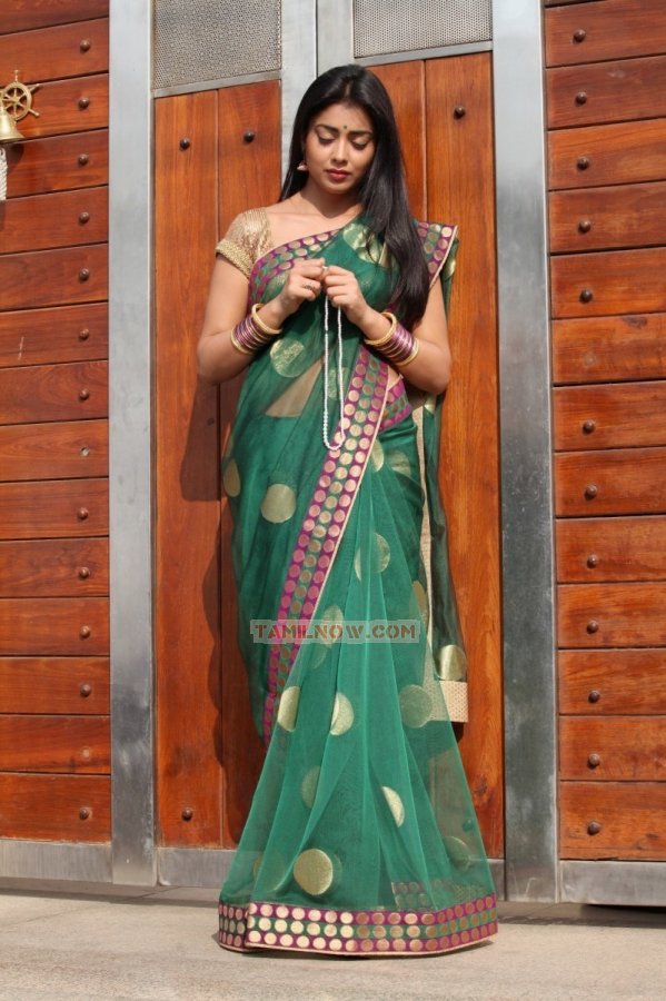 Actress Shriya Saran 5486