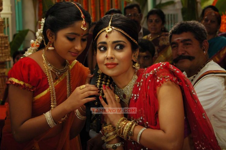 Actress Shriya Saran 6234