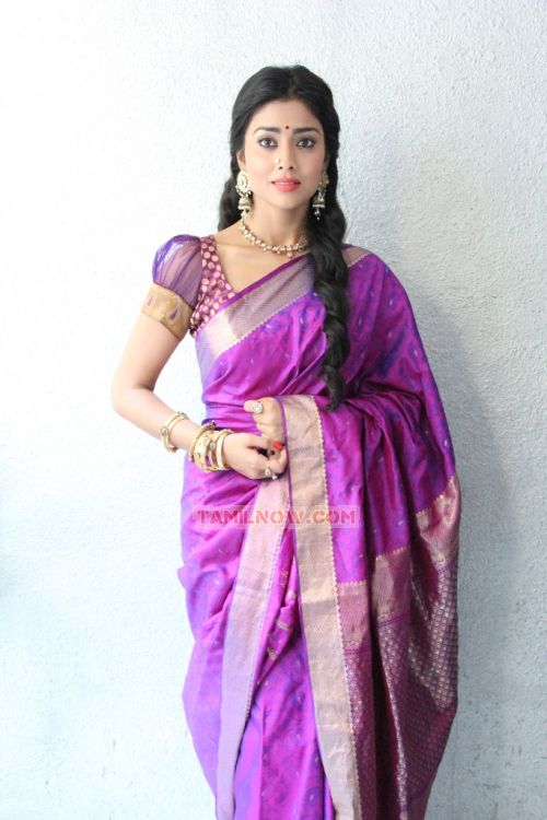 Actress Shriya Saran 8265