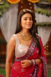 Actress Shriya Saran 8718