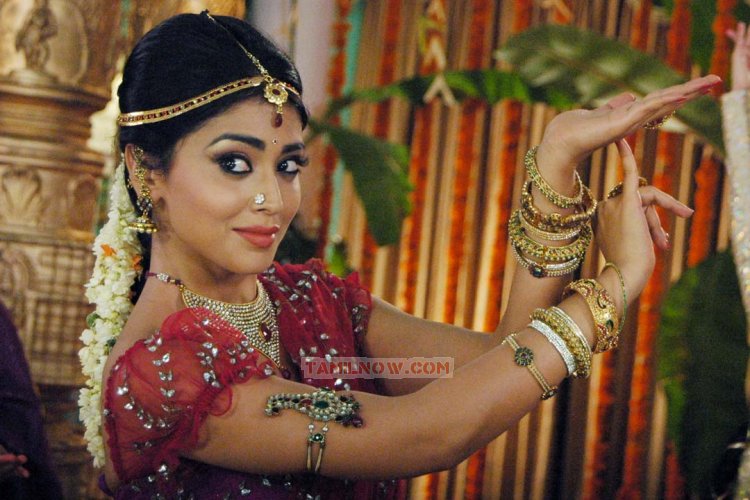 Actress Shriya Saran Photos 3835