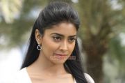 Actress Shriya Saran Photos 9446