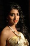 Actress Shriya Saran Stills 3246