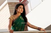 Actress Shriya Saran Stills 879