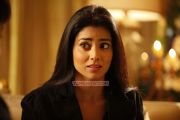 Actress Shriya Saran Stills 9599