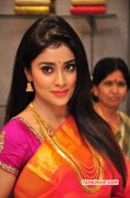 Heroine Shriya Saran Stills 7958