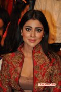 Jul 2015 Wallpaper Shriya Saran Tamil Actress 8610